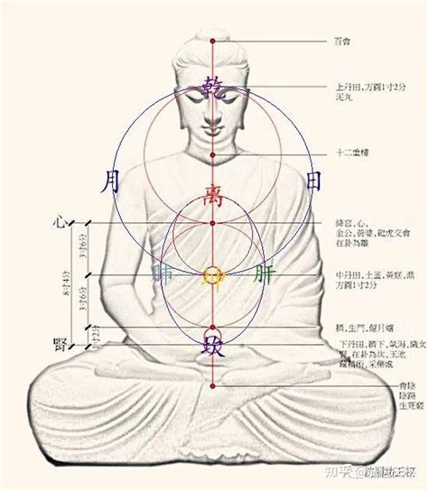 先天胎元後天息元|胎元、胎息求法與胎元的作用是什麼？